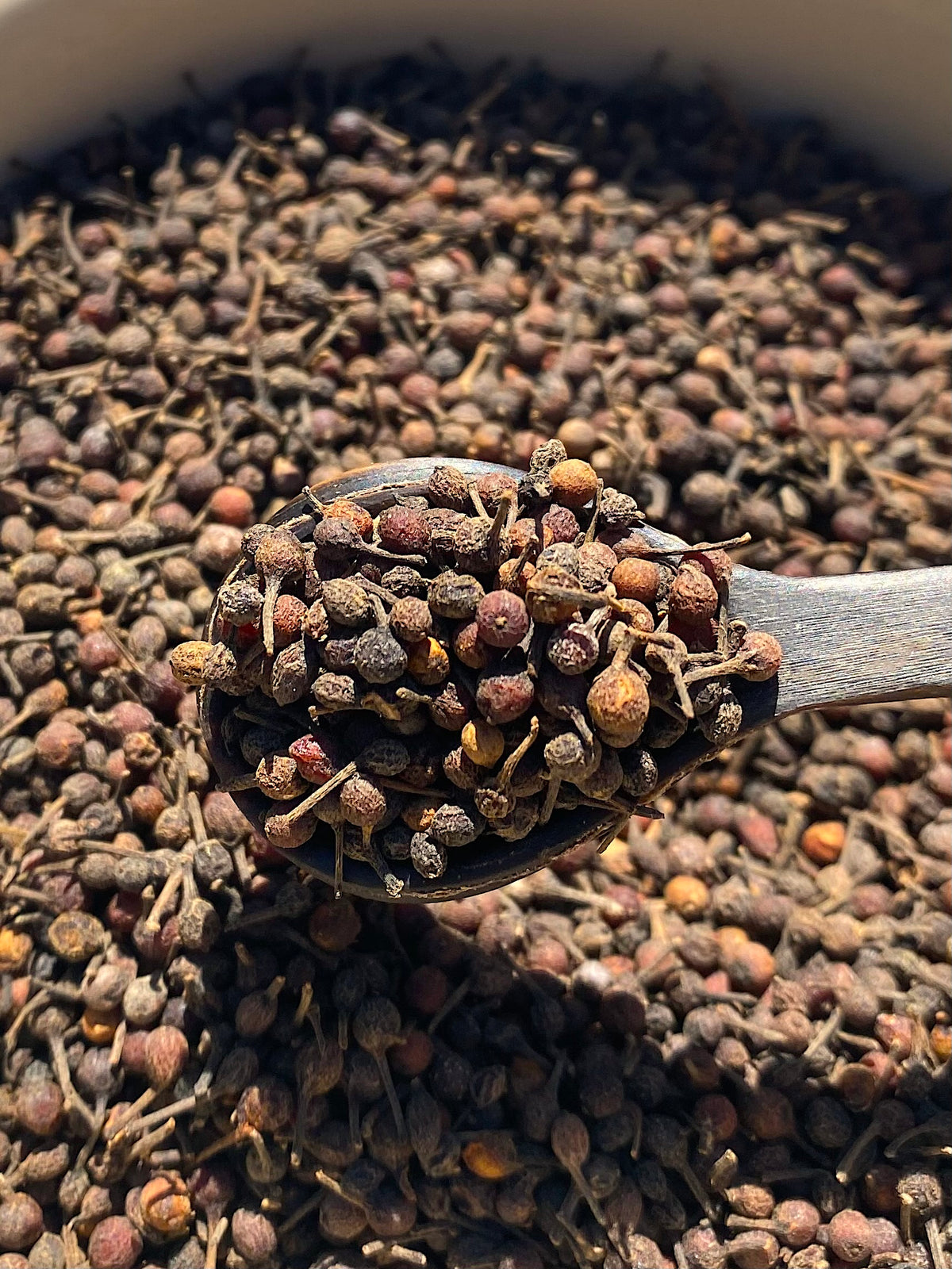 Gourmet Wild Red Voatsiperifery Pepper