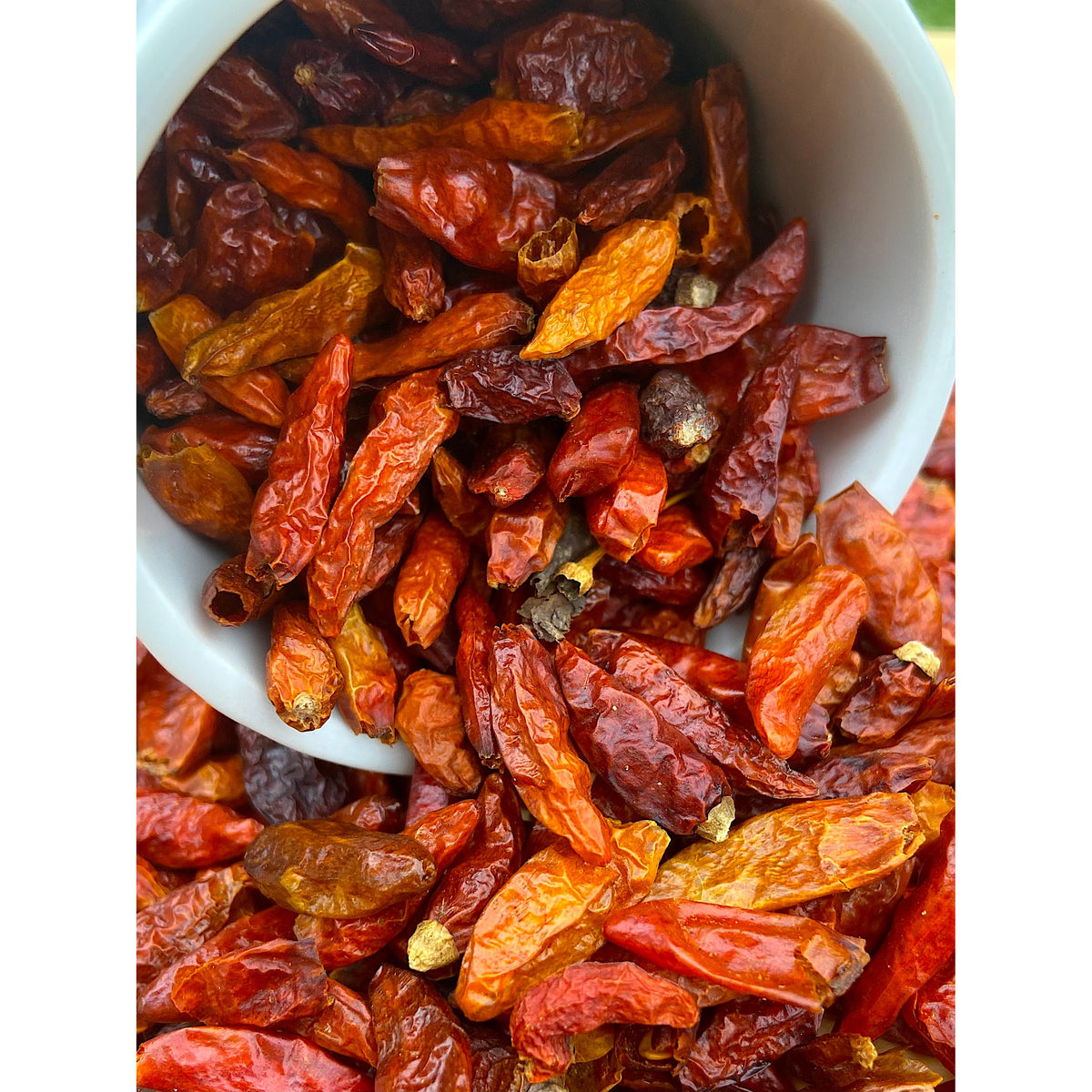 Bird's eye chili