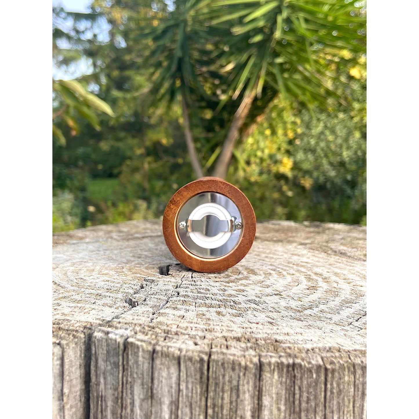 Wooden Spice Mill