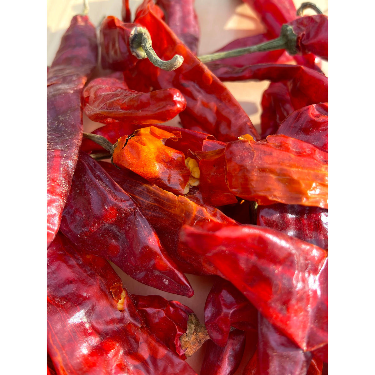 Kashmiri Chili