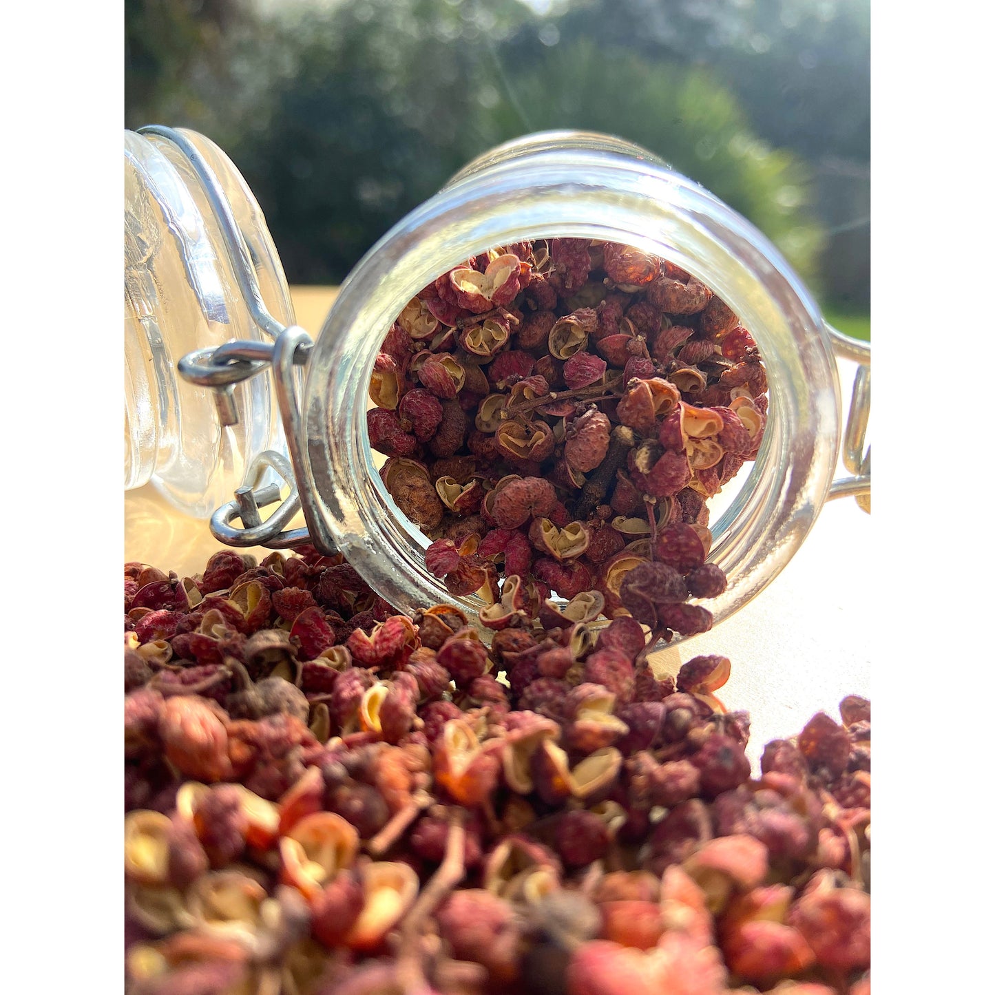 Red Sichuan peppercorn