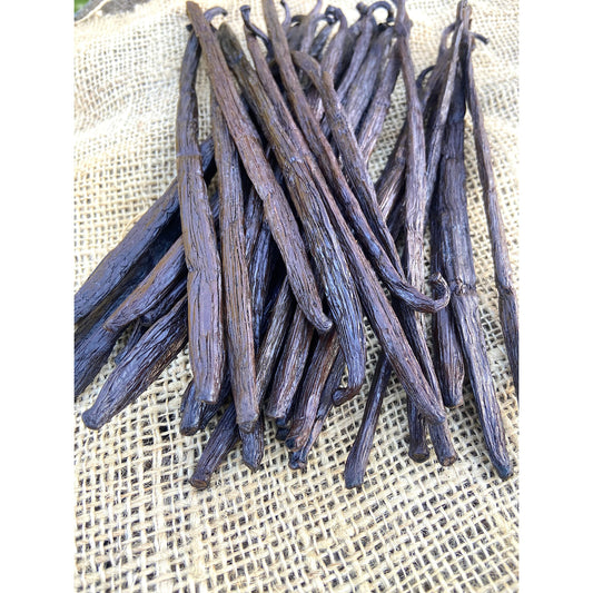 Gousse de vanille de Madagascar — crème brûlée