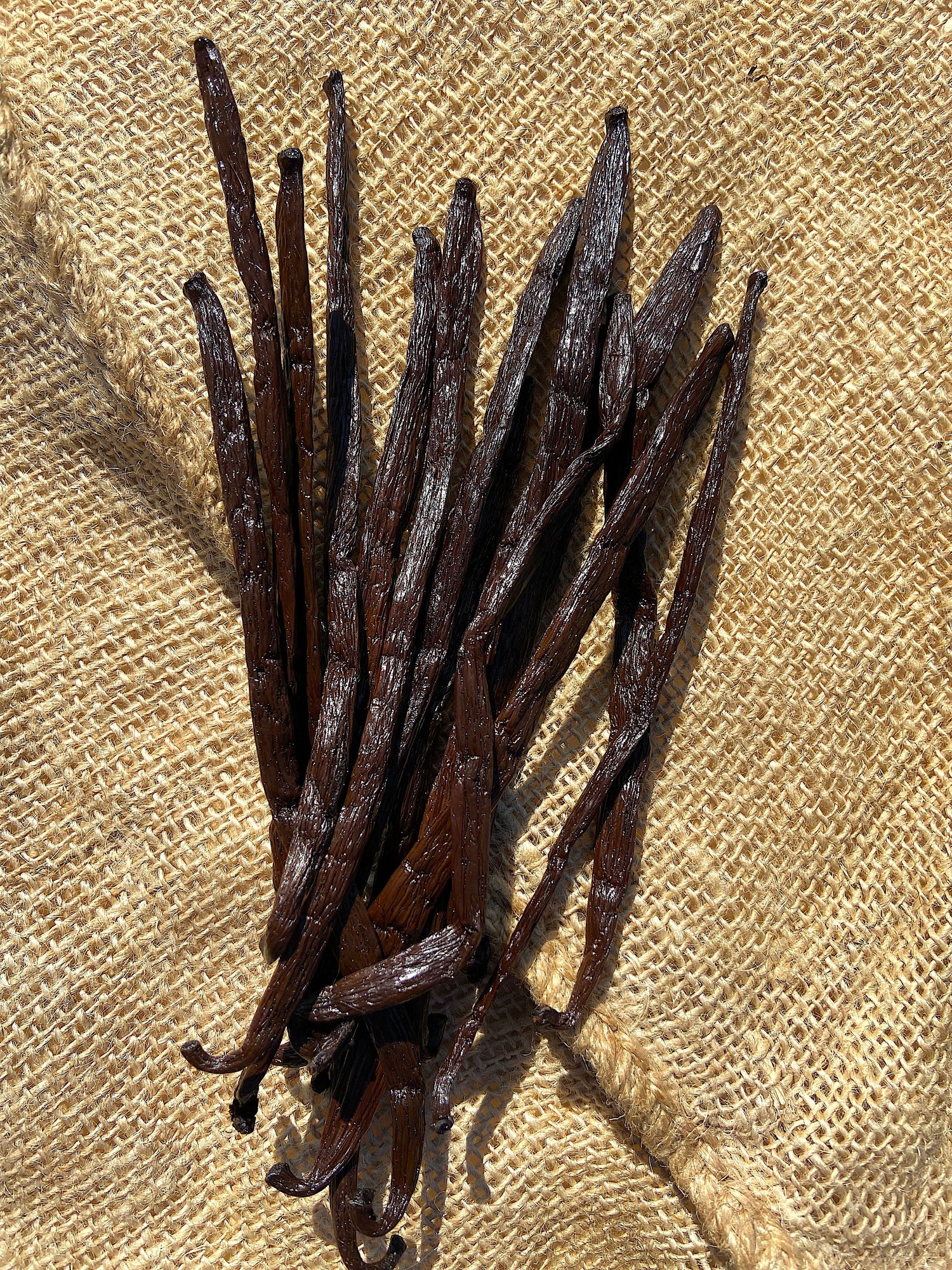 GOUSSES DE VANILLE - SPICY CANDY®