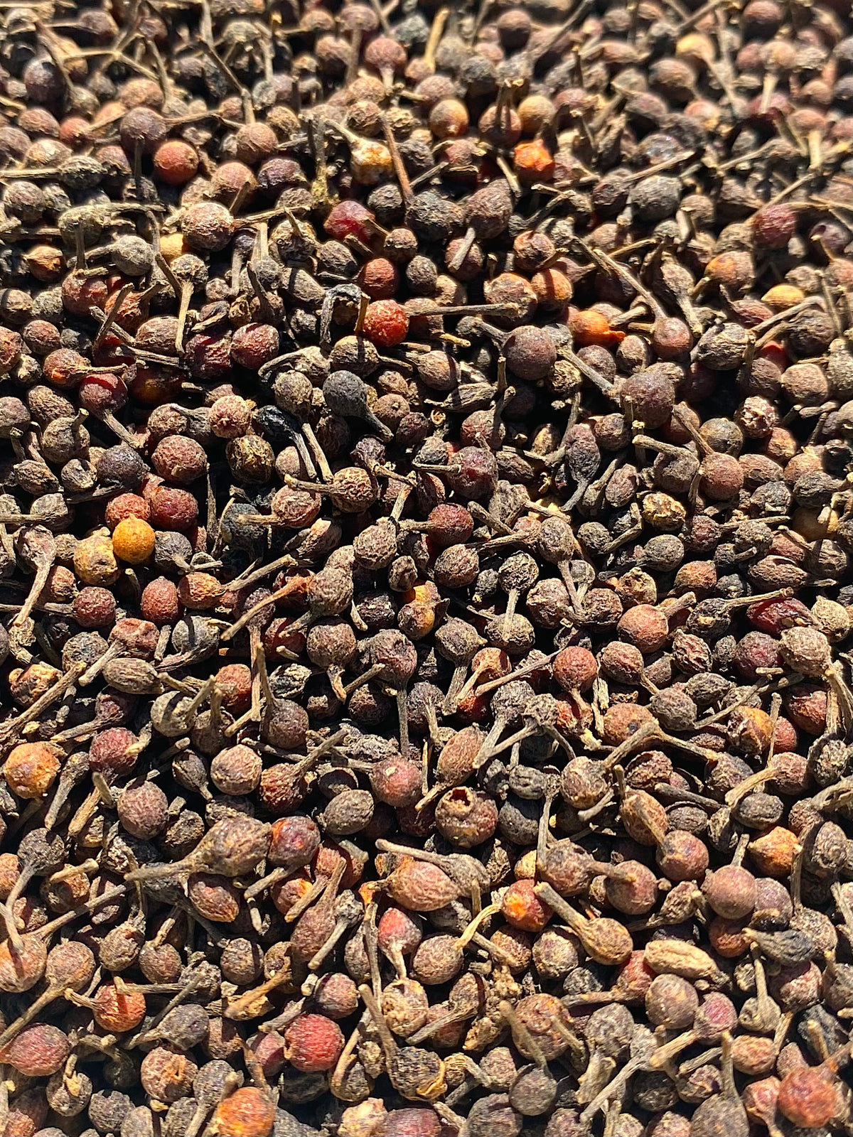 Gourmet Wild Red Voatsiperifery Pepper