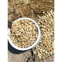 Graines de Tournesol Bio - France - * Goût légèrement doux et herbacé, avec une pointe de noisette fraîche. *