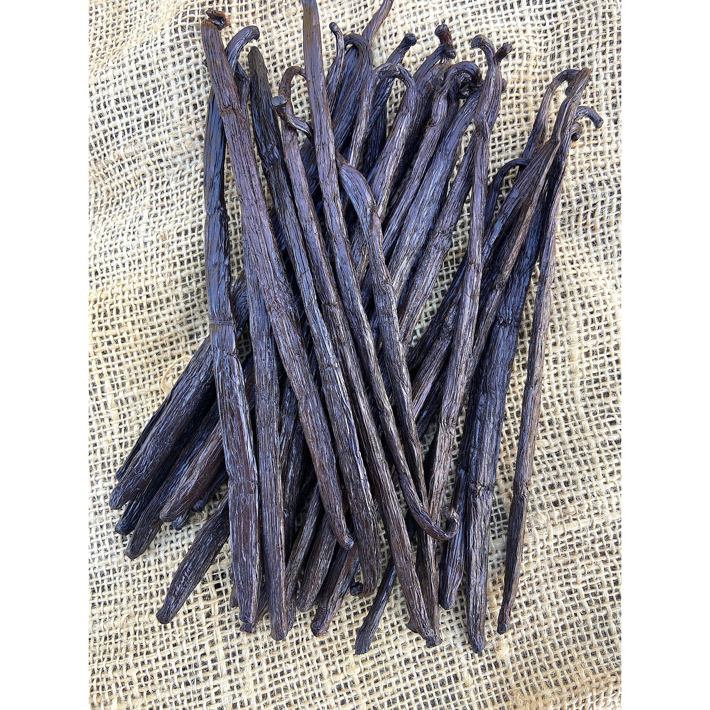 Madagascar Vanilla - 18cm - FIANA