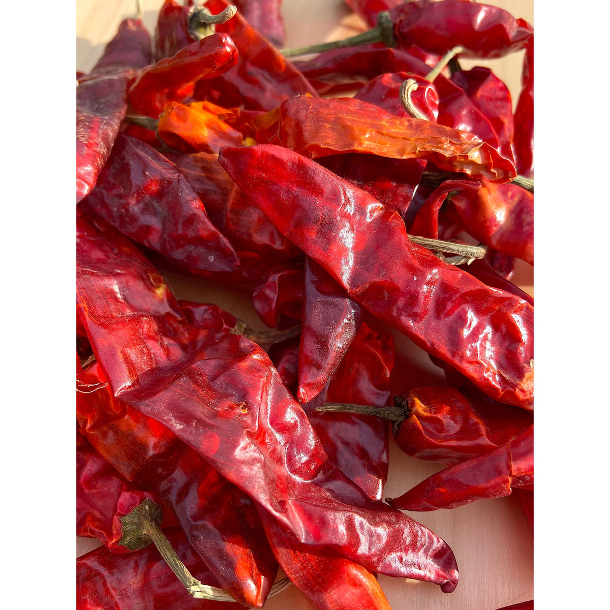 Kashmiri Chili