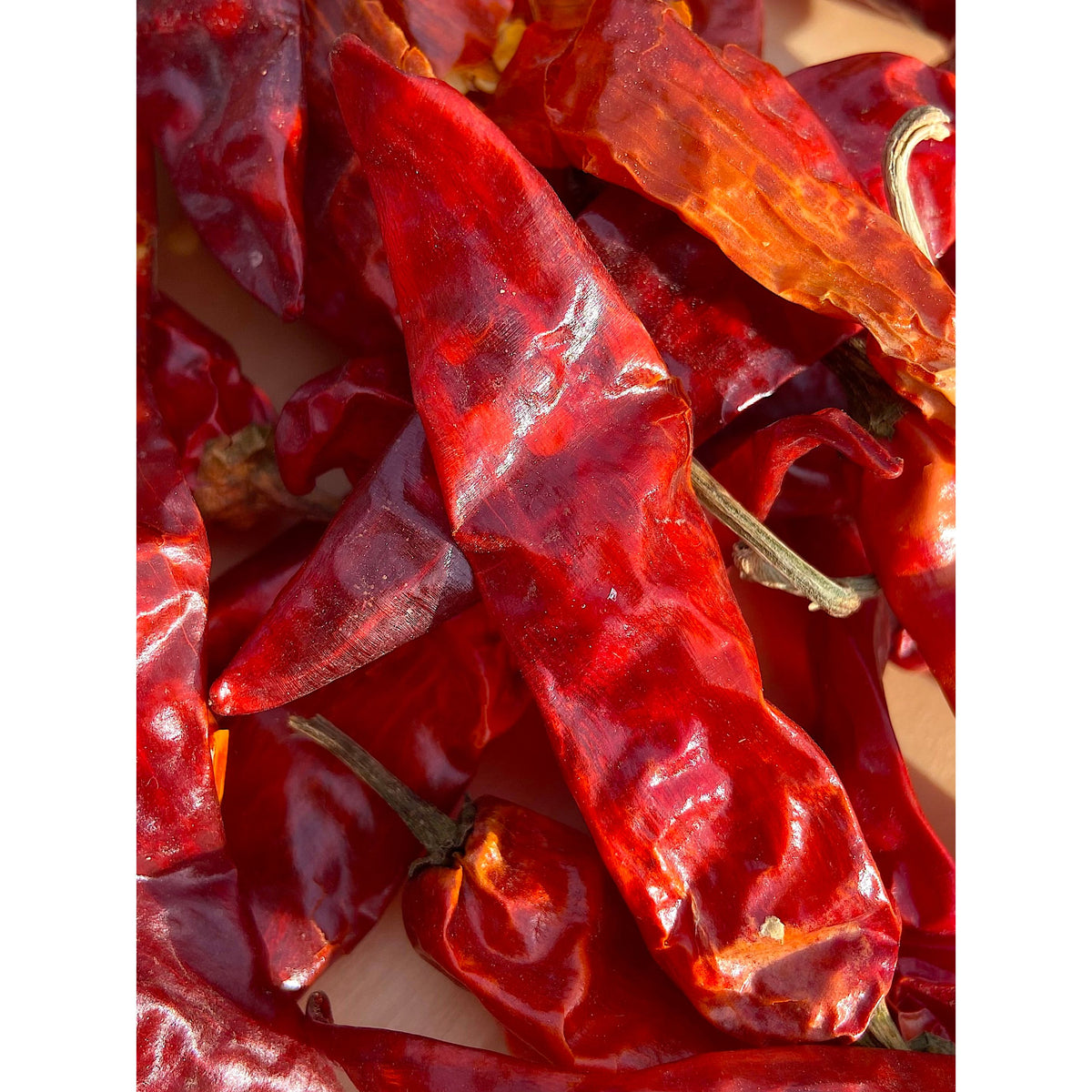 Kashmiri Chili