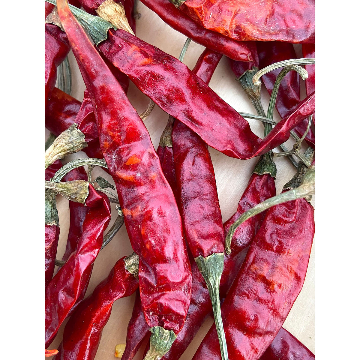 Piment Guntur