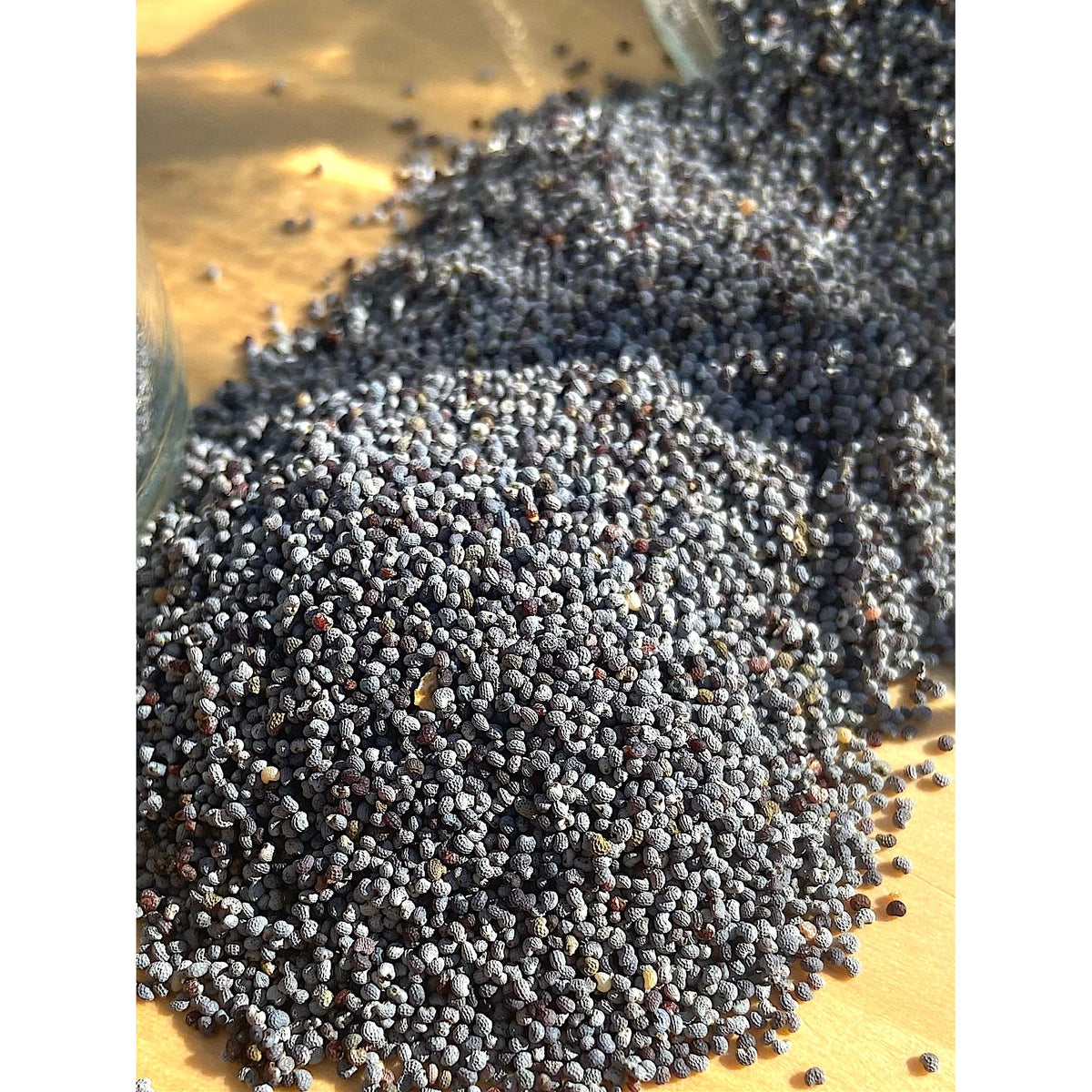 Graines de Pavot Bleu Bio
