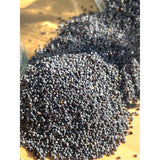 Graines de Pavot Bleu Bio