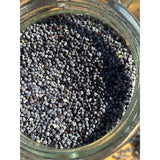 Graines de Pavot Bleu Bio