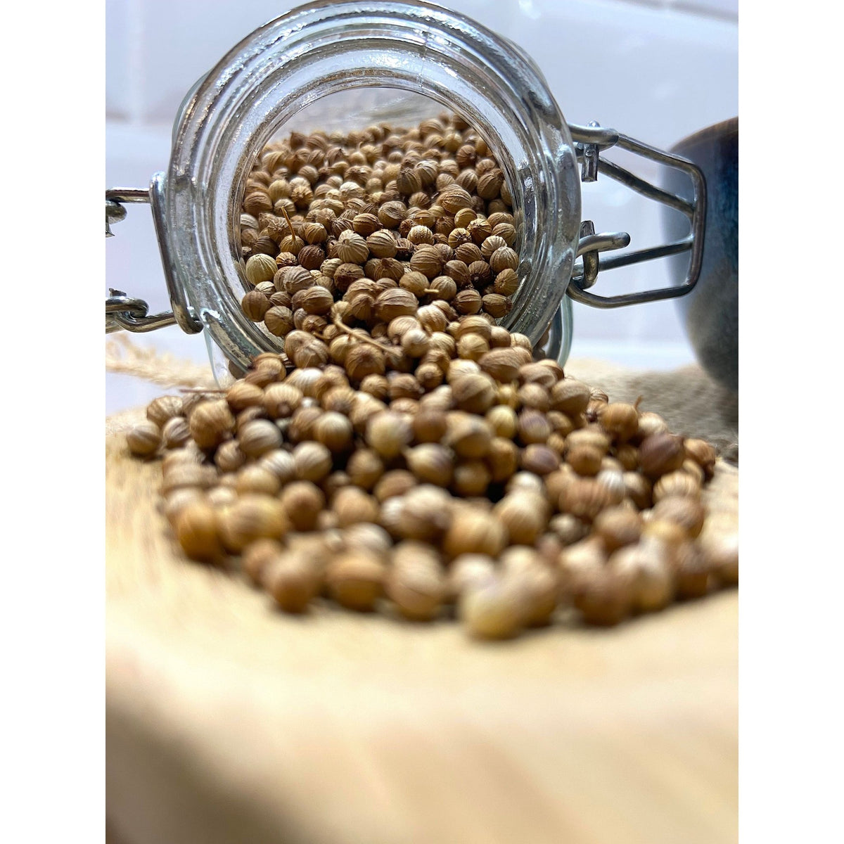 Coriandre Bio - Italie - * Notes de noisette et de citron, légèrement amer et terreux * - SPICY CANDY®