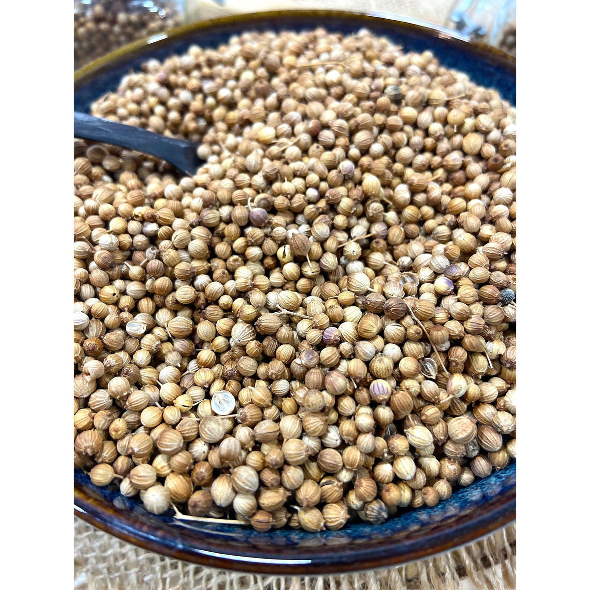 Coriandre Bio - Italie - * Notes de noisette et de citron, légèrement amer et terreux * - SPICY CANDY®