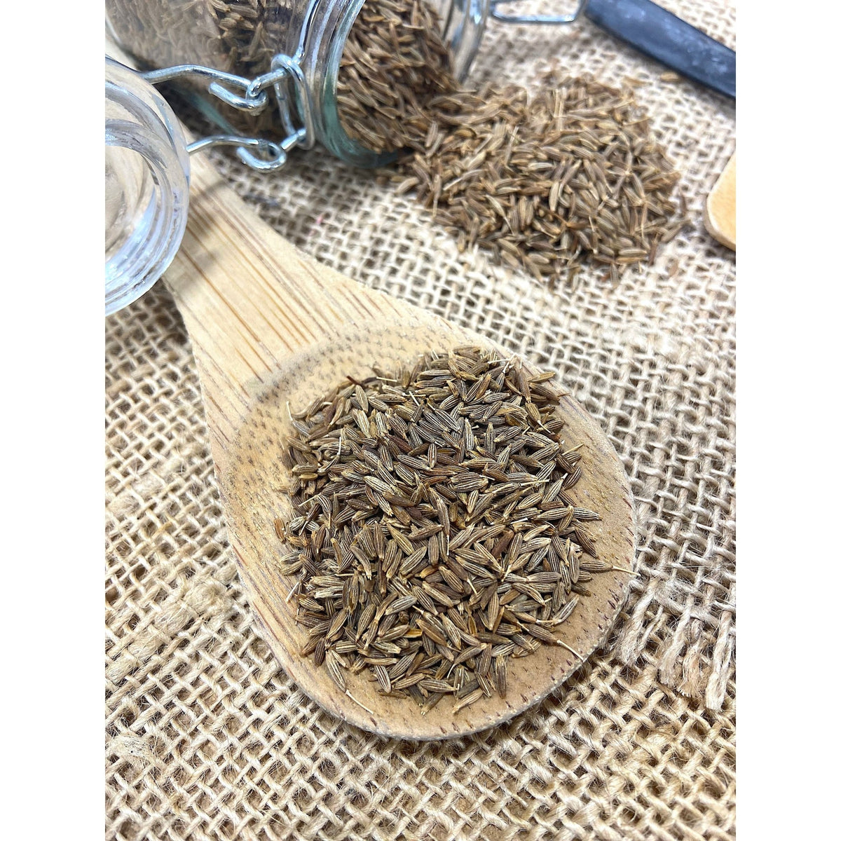 Cumin Bio - Inde - * Notes fraîches et citronnées, herbacées et légèrement piquantes * - SPICY CANDY®