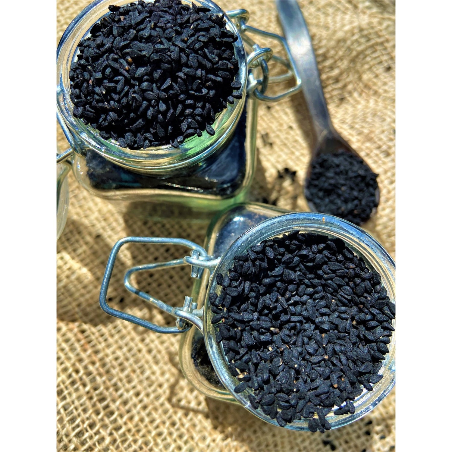 Cumin Noir Bio - Égypte - * Notes de Poivre et de Noix * - SPICY CANDY®