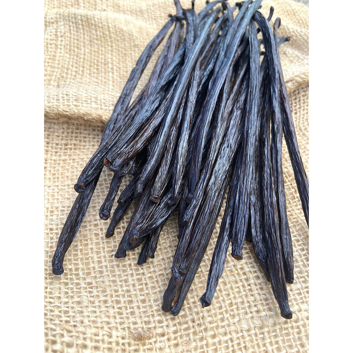 Gousses de Vanille de Papouasie Nouvelle Guinée - 18cm - Variété PAPUA * Notes boisées, goût fumé * - SPICY CANDY®