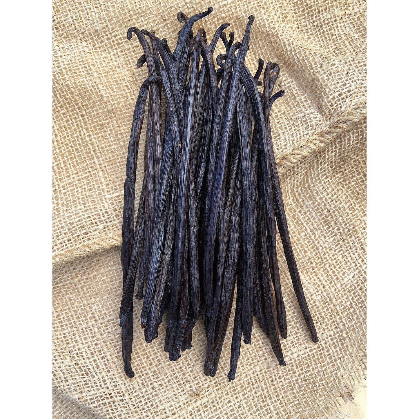 Gousses de Vanille de Papouasie Nouvelle Guinée - 18cm - Variété PAPUA * Notes boisées, goût fumé * - SPICY CANDY®
