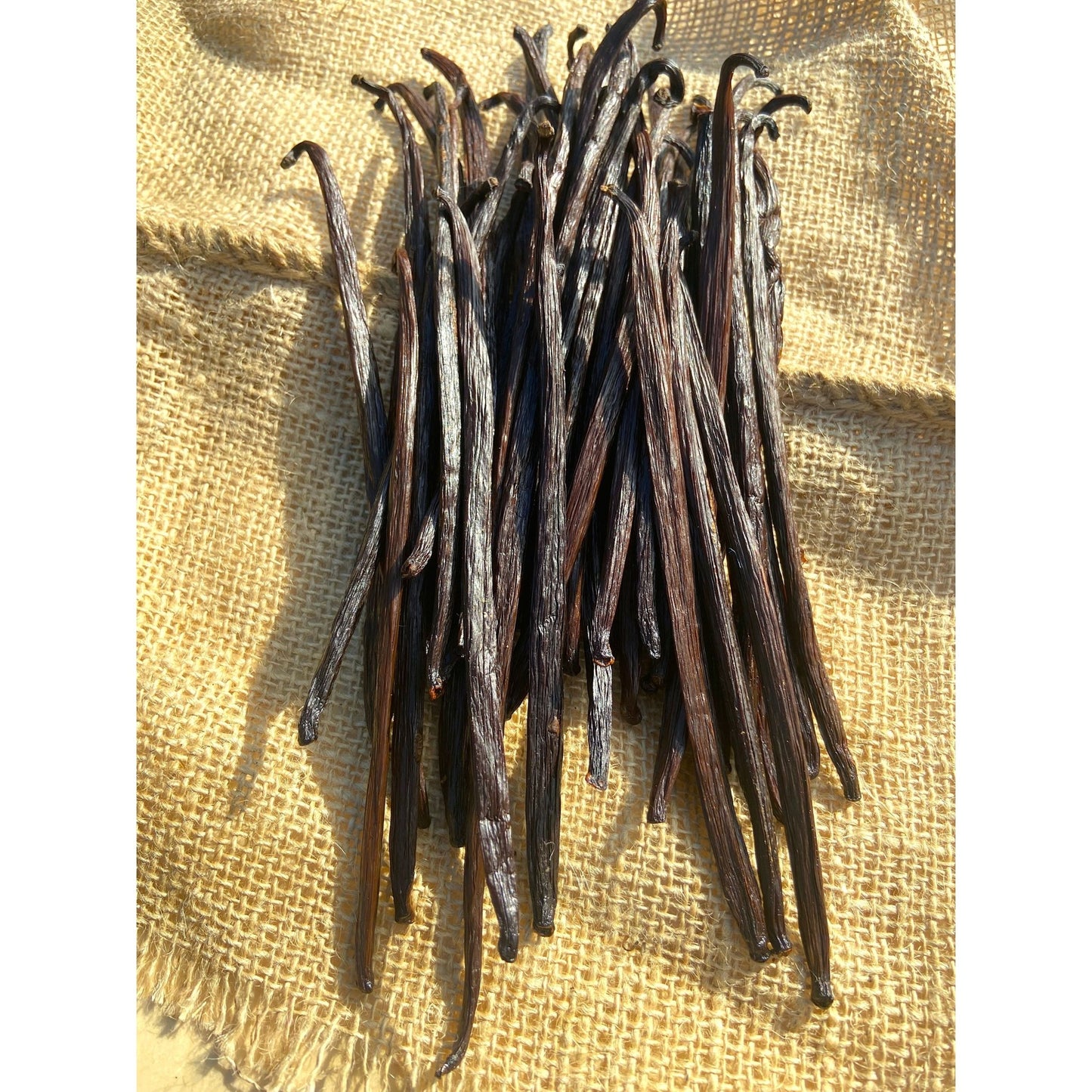 Gousses de Vanille d'Indonésie - 18cm - Variété JAVA * Notes caramélisées, goût fruité * - SPICY CANDY®