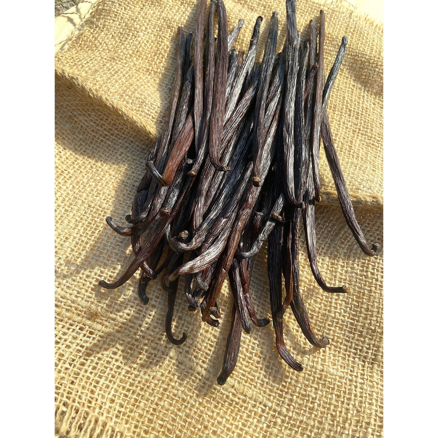 Gousses de Vanille d'Indonésie - 18cm - Variété JAVA * Notes caramélisées, goût fruité * - SPICY CANDY®