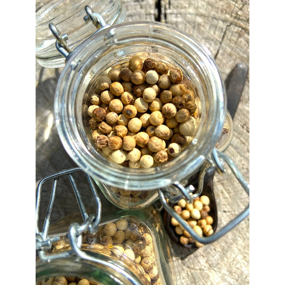 Poivre Blanc du Ceylan - Sri Lanka - * Notes florales et légèrement sucrées, avec une chaleur douce et persistante * - SPICY CANDY®