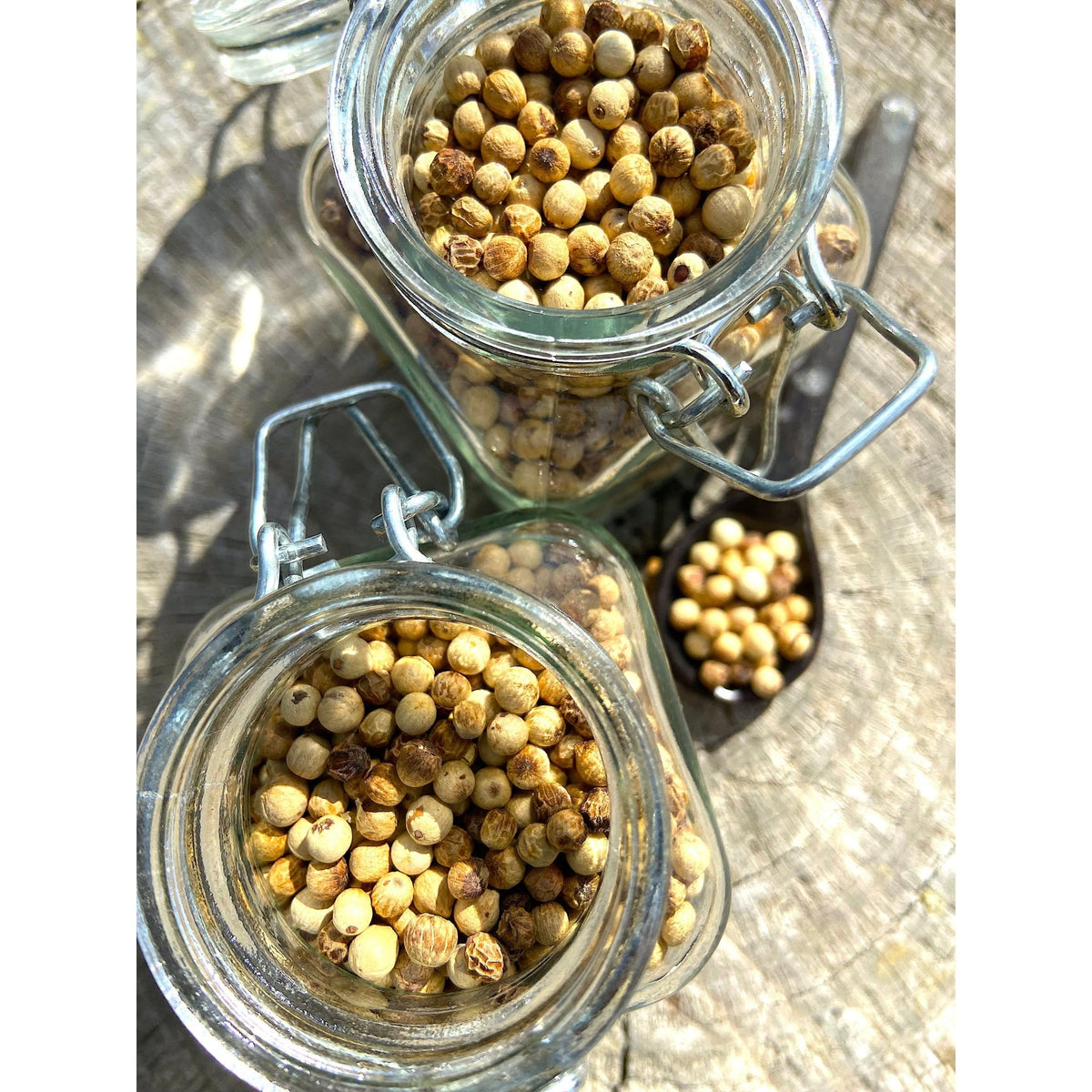 Poivre Blanc du Ceylan - Sri Lanka - * Notes florales et légèrement sucrées, avec une chaleur douce et persistante * - SPICY CANDY®