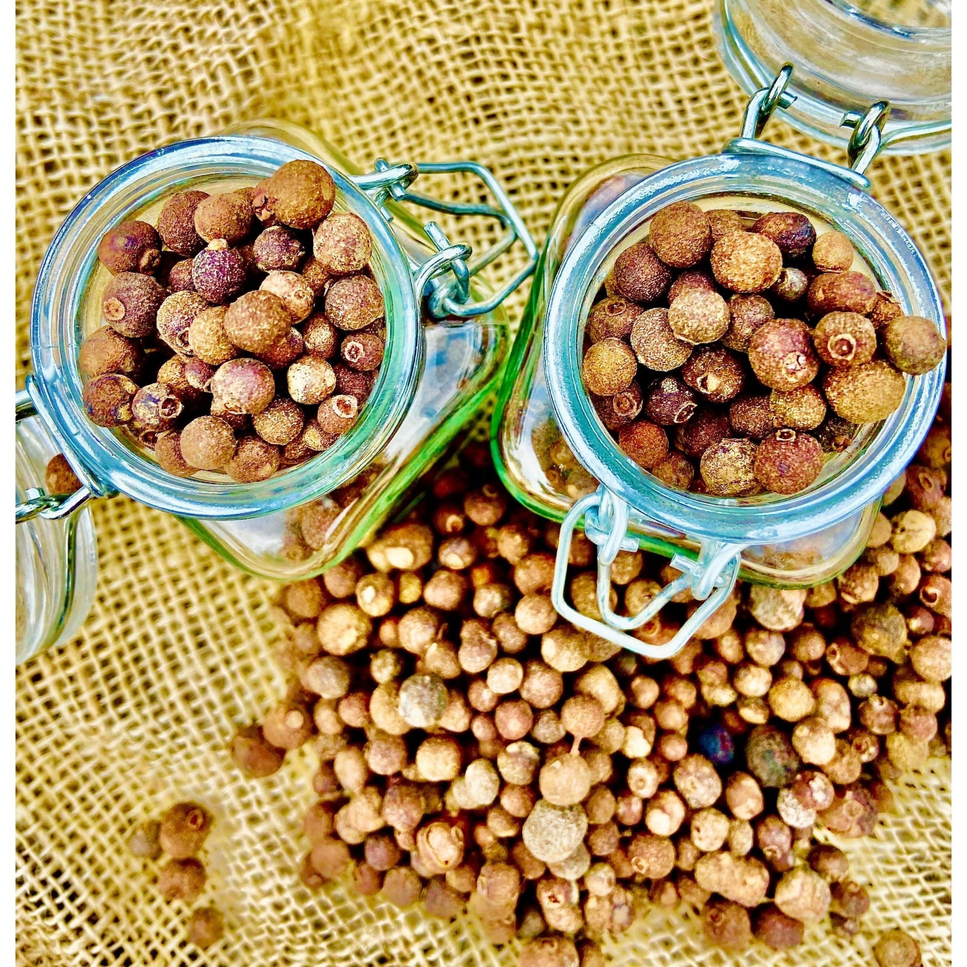 Poivre Jam Bio - Honduras - * Notes de Cannelle, de Noix de muscade et de Clou de girofle * - SPICY CANDY®