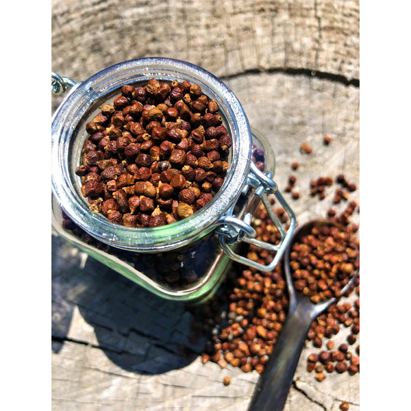 Poivre Grains du Paradis - Ghana - * Notes Noisettes, saveur Gingembre *