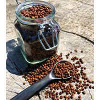 Poivre Grains du Paradis - Ghana - * Notes Noisettes, saveur Gingembre *