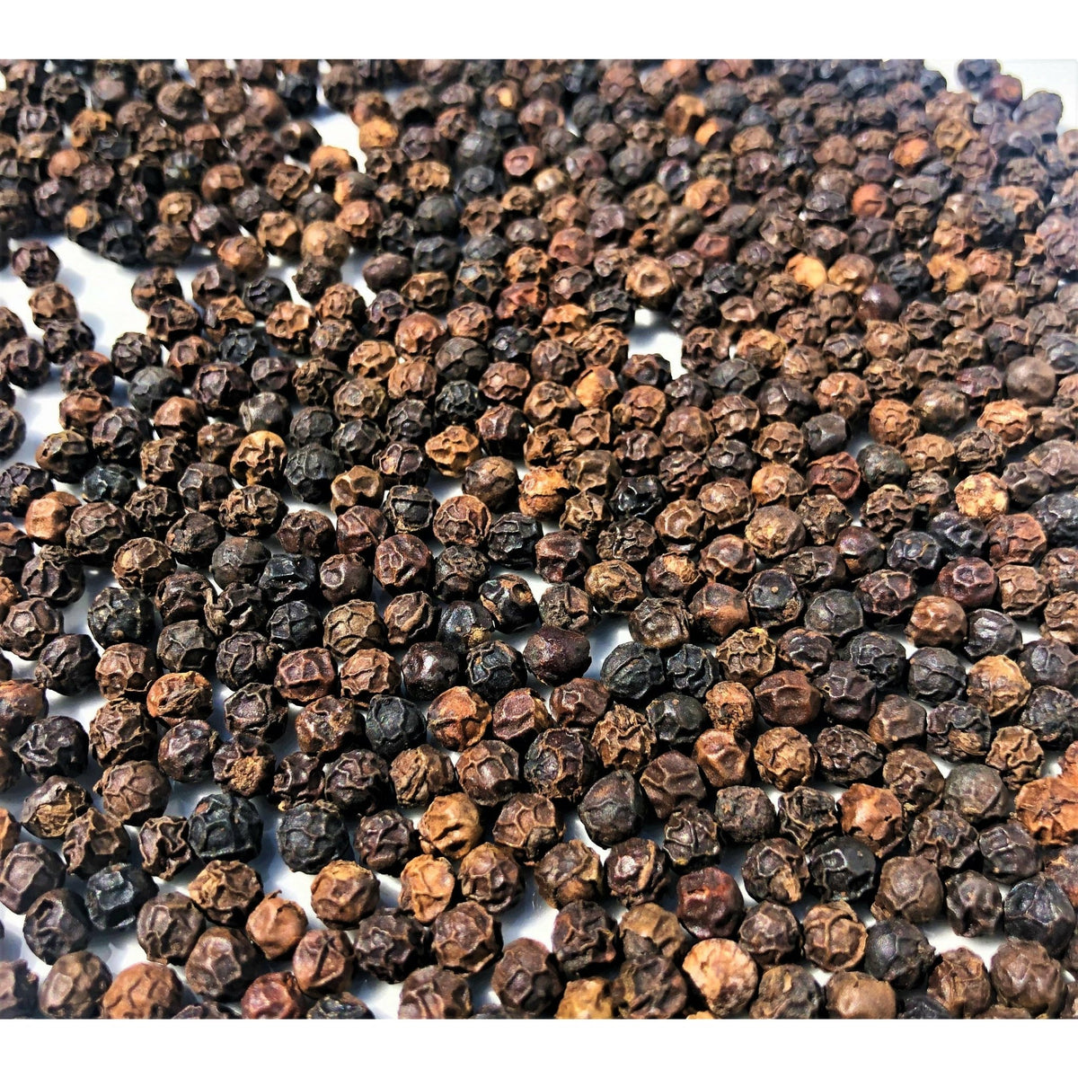 Poivre Banasura - Inde - * Notes cuivrée, parfum botanique * - SPICY CANDY®
