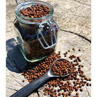 Poivre Grains du Paradis - Ghana - * Notes Noisettes, saveur Gingembre * - SPICY CANDY®