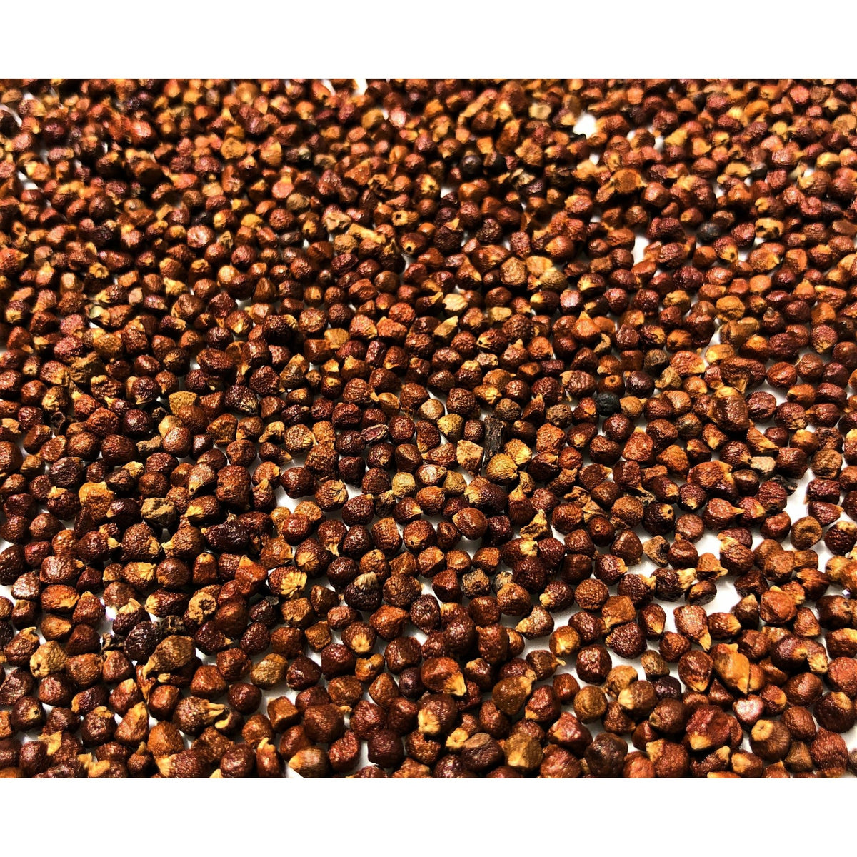 Poivre Grains du Paradis - Ghana - * Notes Noisettes, saveur Gingembre * - SPICY CANDY®