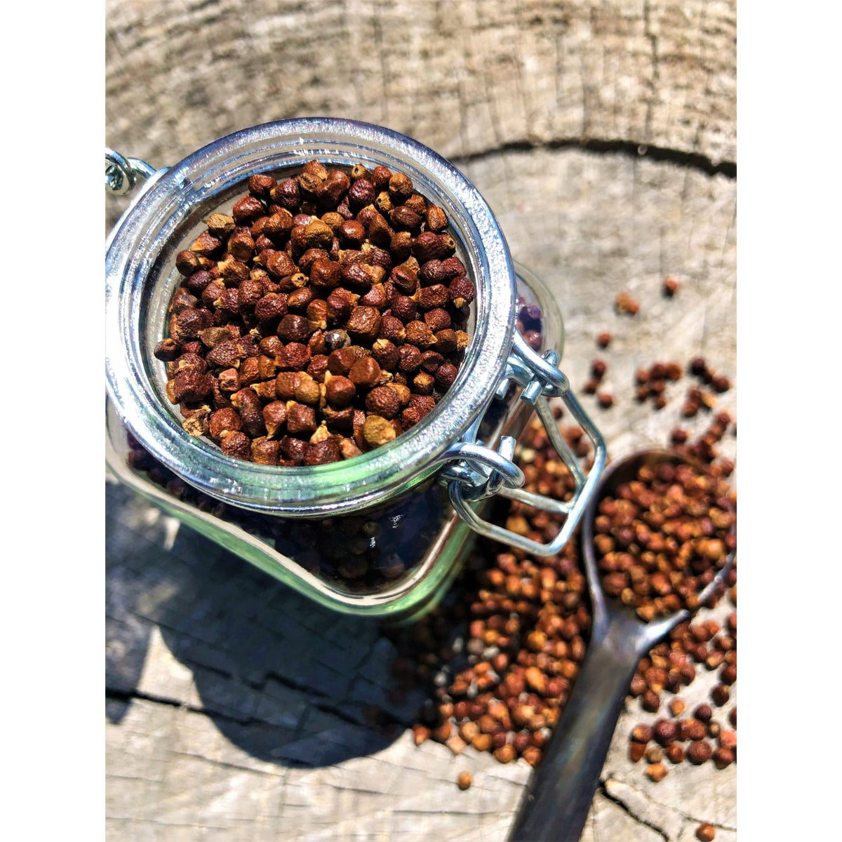 Poivre Grains du Paradis - Ghana - * Notes Noisettes, saveur Gingembre * - SPICY CANDY®