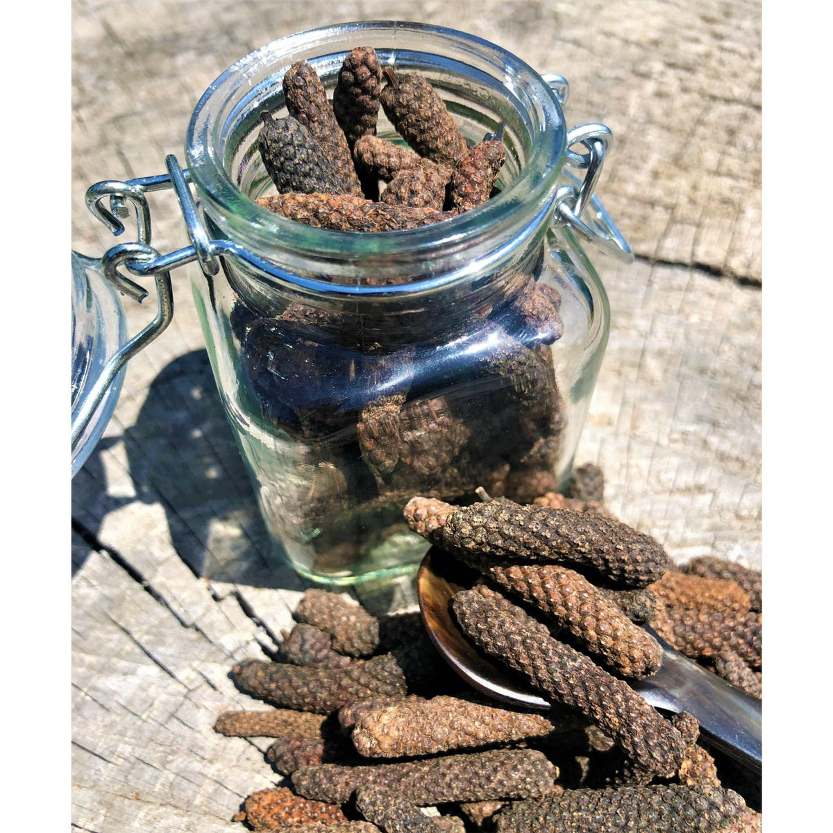 Poivre Long Bio - Cambodge - * Notes anisées, parfum de Cannelle * - SPICY CANDY®