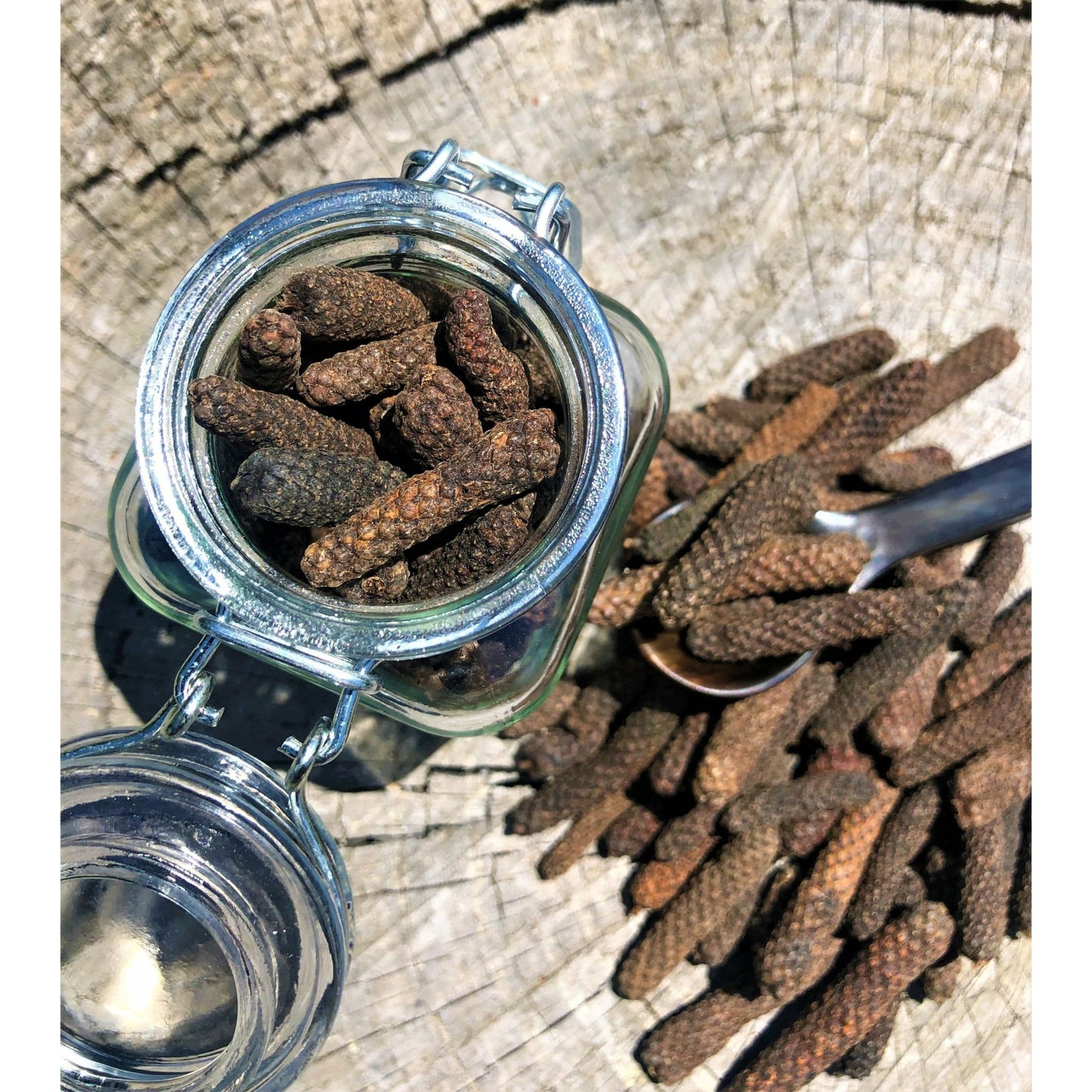 Poivre Long Bio - Cambodge - * Notes anisées, parfum de Cannelle * - SPICY CANDY®